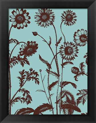 Framed Chrysanthemum 18 Print