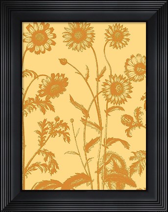 Framed Chrysanthemum 19 Print