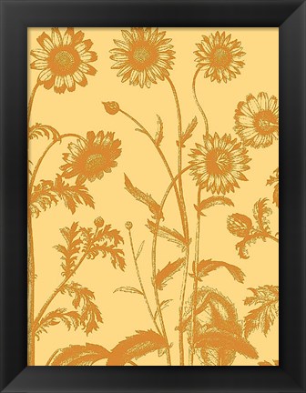 Framed Chrysanthemum 19 Print