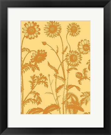 Framed Chrysanthemum 19 Print