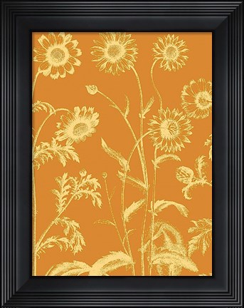 Framed Chrysanthemum 20 Print
