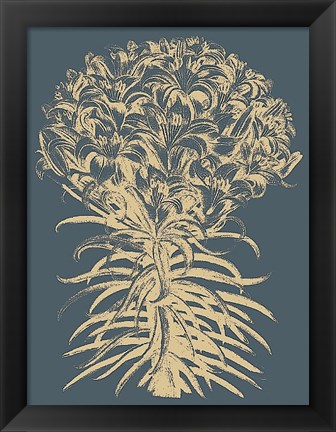 Framed Lilies 2 Print