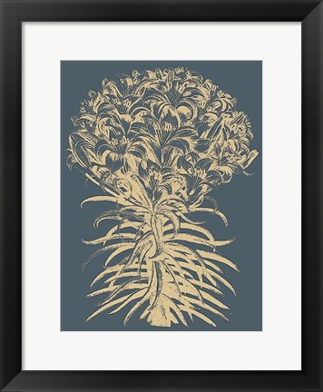 Framed Lilies 2 Print