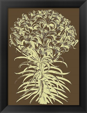 Framed Lilies 3 Print