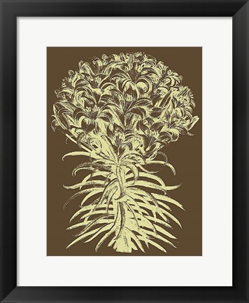 Framed Lilies 3 Print