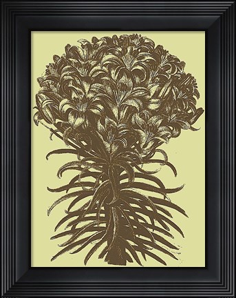 Framed Lilies 4 Print