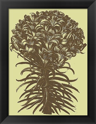 Framed Lilies 4 Print