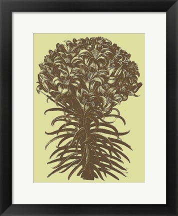 Framed Lilies 4 Print