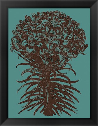 Framed Lilies 5 Print