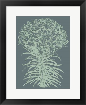 Framed Lilies 7 Print