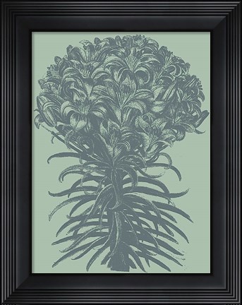 Framed Lilies 8 Print