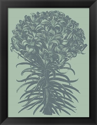 Framed Lilies 8 Print