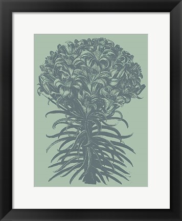 Framed Lilies 8 Print