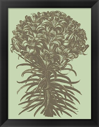 Framed Lilies 11 Print