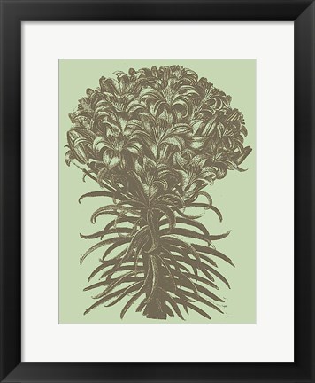 Framed Lilies 11 Print