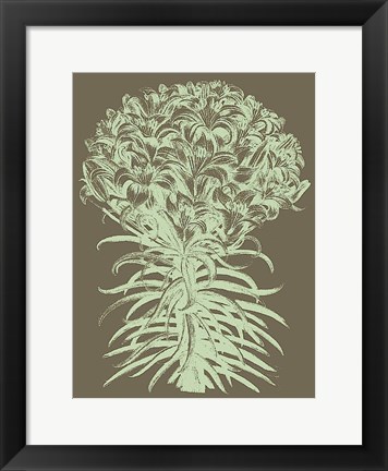 Framed Lilies 12 Print