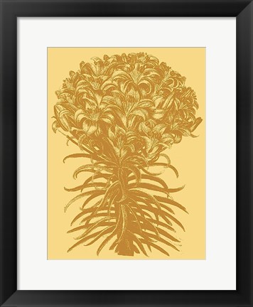 Framed Lilies 19 Print