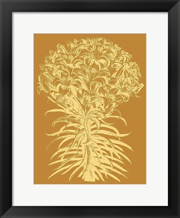 Framed Lilies 20 Print