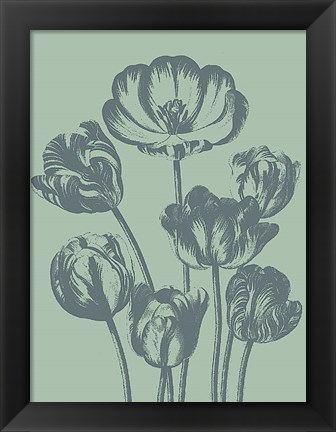 Framed Tulip 8 Print