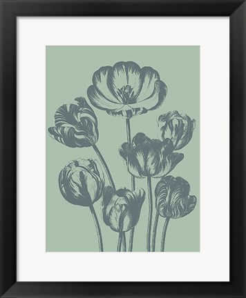 Framed Tulip 8 Print