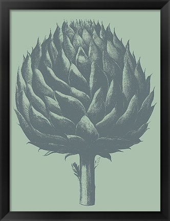 Framed Artichoke 8 Print