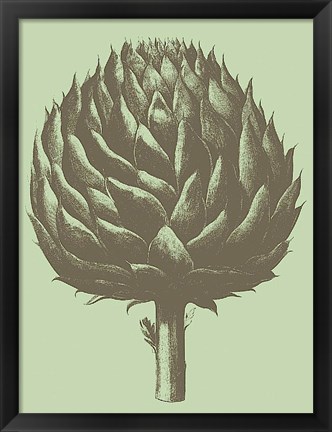 Framed Artichoke 11 Print