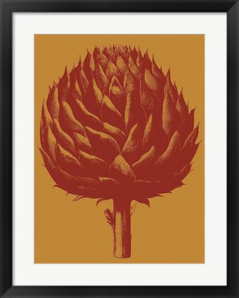 Framed Artichoke 15 Print