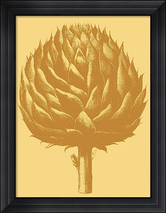 Framed Artichoke 19 Print
