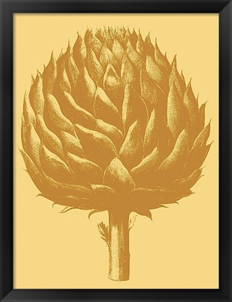 Framed Artichoke 19 Print