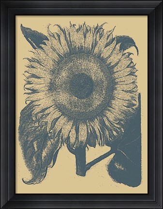 Framed Sunflower 1 Print