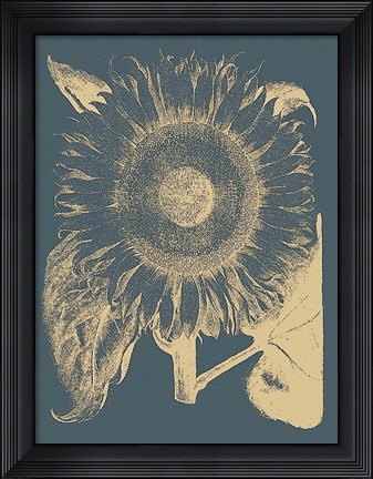 Framed Sunflower 2 Print