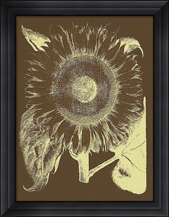 Framed Sunflower 3 Print