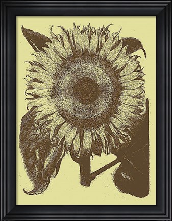 Framed Sunflower 4 Print