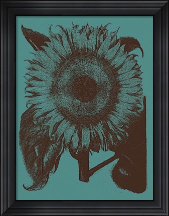 Framed Sunflower 5 Print