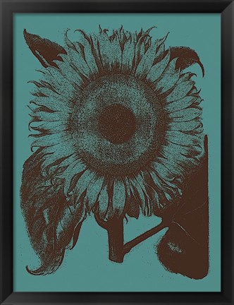 Framed Sunflower 5 Print