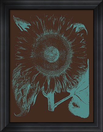 Framed Sunflower 6 Print