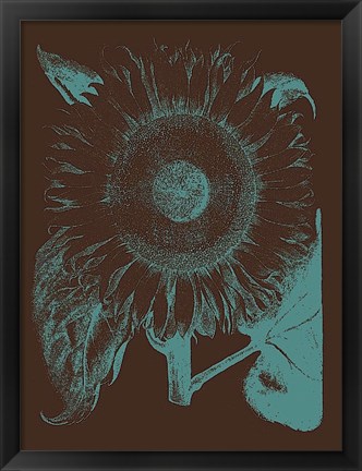 Framed Sunflower 6 Print