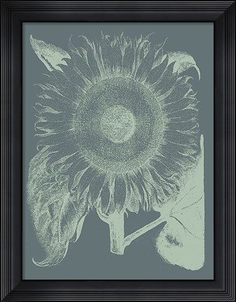 Framed Sunflower 7 Print