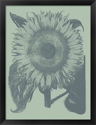 Framed Sunflower 8 Print