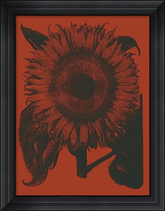 Framed Sunflower 9 Print