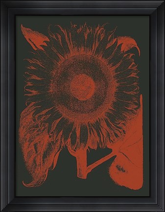 Framed Sunflower 10 Print