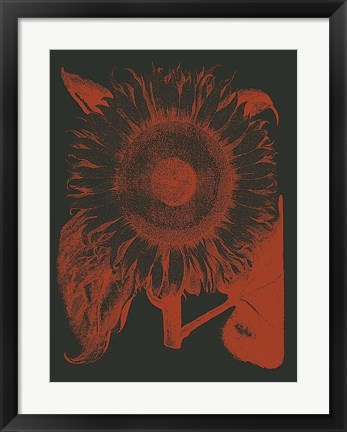 Framed Sunflower 10 Print