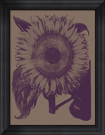 Framed Sunflower 14 Print
