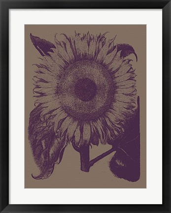 Framed Sunflower 14 Print