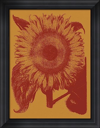 Framed Sunflower 15 Print