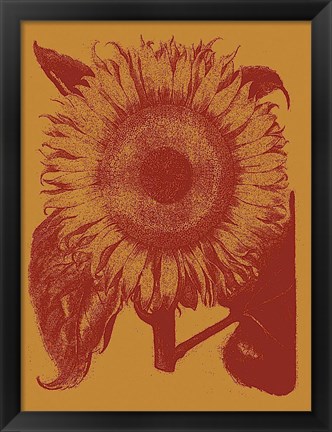 Framed Sunflower 15 Print