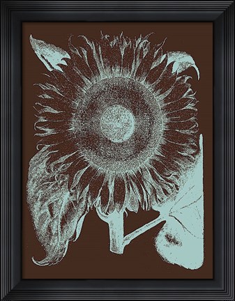 Framed Sunflower 17 Print