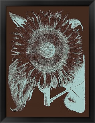 Framed Sunflower 17 Print