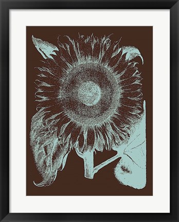 Framed Sunflower 17 Print