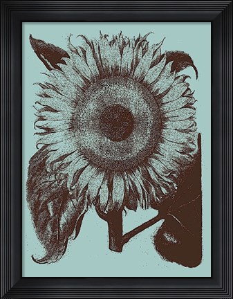 Framed Sunflower 18 Print